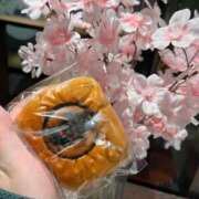 ヒメ日記 2025/03/31 23:27 投稿 りこ ごほうびSPA仙台店