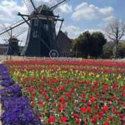 ヒメ日記 2025/04/22 17:27 投稿 りこ ごほうびSPA仙台店