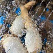 ヒメ日記 2025/04/24 15:37 投稿 りこ ごほうびSPA仙台店