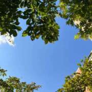 ヒメ日記 2025/12/09 00:37 投稿 りこ ごほうびSPA仙台店