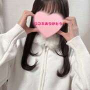 ヒメ日記 2026/03/31 00:04 投稿 しずく 札幌しこたまクリニック