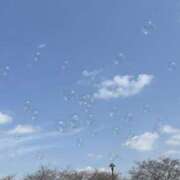 ヒメ日記 2025/04/03 09:02 投稿 ゆあん 熟女の風俗最終章 宇都宮店