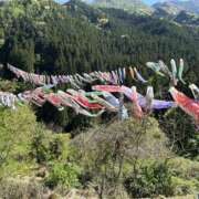 ヒメ日記 2025/05/05 19:21 投稿 ゆあん 熟女の風俗最終章 宇都宮店