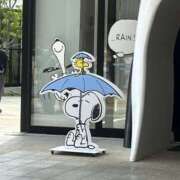 ヒメ日記 2025/09/19 09:02 投稿 ゆあん 熟女の風俗最終章 宇都宮店