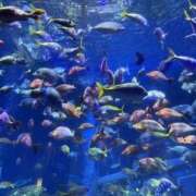 ゆあん しばらくお休みに┏〇゛ 熟女の風俗最終章 宇都宮店