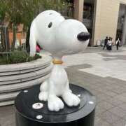 ヒメ日記 2026/03/08 09:21 投稿 ゆあん 熟女の風俗最終章 宇都宮店