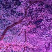 ヒメ日記 2026/04/11 18:02 投稿 ゆあん 熟女の風俗最終章 宇都宮店