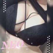 ヒメ日記 2025/08/01 02:20 投稿 ねお My Essentials