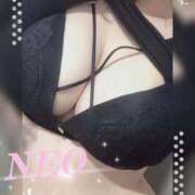 ヒメ日記 2025/12/04 00:50 投稿 ねお My Essentials