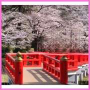 ヒメ日記 2025/04/06 22:20 投稿 ミヒロ オトナのマル秘最前線!!