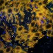 ヒメ日記 2025/03/02 21:46 投稿 あゆの アラカルト