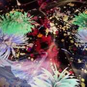 ヒメ日記 2025/04/09 12:04 投稿 あゆの アラカルト