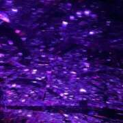 ヒメ日記 2025/05/01 00:20 投稿 あゆの アラカルト