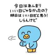 ヒメ日記 2026/05/27 22:14 投稿 あゆの アラカルト