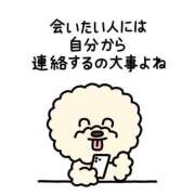 あゆの 次回23時から〜 アラカルト