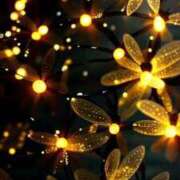 ヒメ日記 2026/02/18 10:59 投稿 ほの 千葉中央人妻援護会