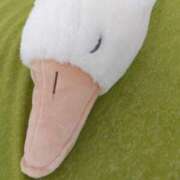 ヒメ日記 2025/08/15 10:21 投稿 さなえ あなたの全てを包み込む　優しいひとづま