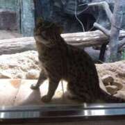 ヒメ日記 2025/10/03 19:01 投稿 さなえ あなたの全てを包み込む　優しいひとづま