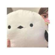 ひな【G】最高のフワフワ系☆ 💐受付終了💐 SAPPORO 医乳
