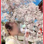 ヒメ日記 2025/03/30 19:18 投稿 七瀬　あかり YUDEN〜油殿〜谷九・日本橋店