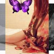 ヒメ日記 2025/04/24 07:56 投稿 貴咲りな 五十路マダム 浜松店(カサブランカグループ)