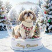 ヒメ日記 2025/12/27 22:54 投稿 貴咲りな 五十路マダム 浜松店(カサブランカグループ)