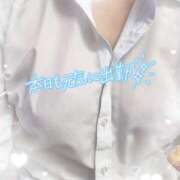 ヒメ日記 2025/07/30 08:45 投稿 あん ビデオdeはんど 町田校