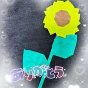 あん 🌻 ビデオdeはんど 町田校