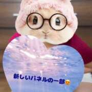 ヒメ日記 2025/06/12 19:06 投稿 七島 あかり 夜這い専門 発情する奥様たち梅田店