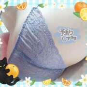 ヒメ日記 2025/05/17 16:03 投稿 ゆず スチュワーデス