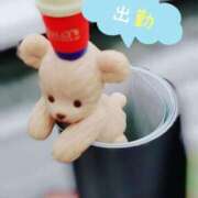 ヒメ日記 2025/01/16 11:37 投稿 ありさ【大人女子】 Select(セレクト)