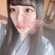 ヒメ日記 2026/06/15 21:40 投稿 ぽぽ 君を舐めたくて学園