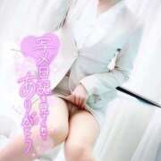 紺野 葵 次回日程調整中です|ω•`๑) CASA BIANCA（カーサ・ビアンカ）