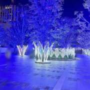 ヒメ日記 2025/11/15 00:37 投稿 れいか エンブレイス　ダイヤモンド