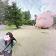 ヒメ日記 2026/09/04 06:36 投稿 藤本なのは(ふじもとなのは) 神戸妻キャッスル店