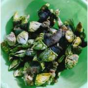 ヒメ日記 2025/02/11 12:23 投稿 しゅう マダム可憐