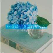 ヒメ日記 2025/03/12 12:27 投稿 しゅう マダム可憐