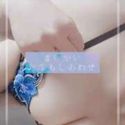 ヒメ日記 2025/03/16 12:35 投稿 しゅう マダム可憐