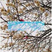 ヒメ日記 2025/03/24 12:43 投稿 しゅう マダム可憐