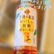 ヒメ日記 2025/04/01 19:07 投稿 しゅう マダム可憐