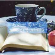 ヒメ日記 2025/04/08 12:39 投稿 しゅう マダム可憐