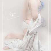 ヒメ日記 2025/04/28 17:05 投稿 しゅう マダム可憐