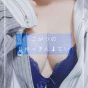 ヒメ日記 2025/04/30 12:32 投稿 しゅう マダム可憐