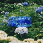 ヒメ日記 2025/06/09 12:44 投稿 しゅう マダム可憐