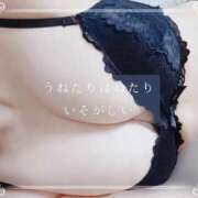 ヒメ日記 2025/07/07 12:24 投稿 しゅう マダム可憐