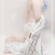 ヒメ日記 2025/07/17 17:06 投稿 しゅう マダム可憐