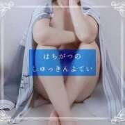 ヒメ日記 2025/07/26 12:14 投稿 しゅう マダム可憐