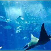 ヒメ日記 2025/08/28 12:28 投稿 しゅう マダム可憐