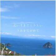 ヒメ日記 2025/09/24 12:21 投稿 しゅう マダム可憐