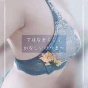 ヒメ日記 2025/09/25 12:39 投稿 しゅう マダム可憐